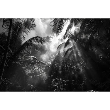 Dark Jungle Canvas